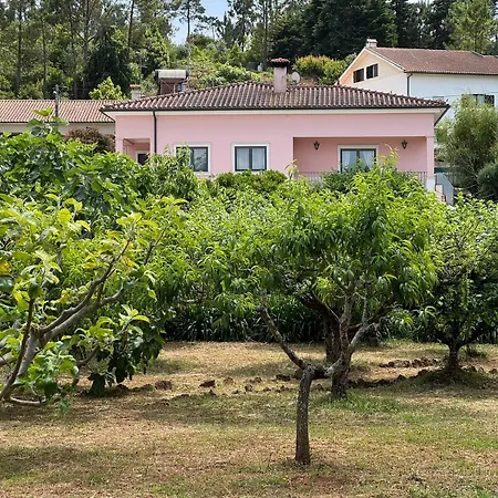Quinta Rosa, Cernache Ferienhaus Cernache (Coimbra)