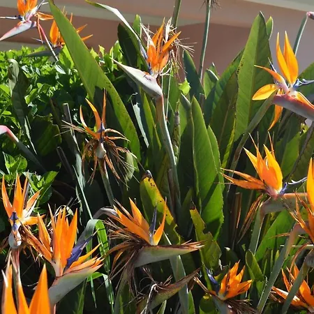 Quinta Rosa, Cernache Cernache (Coimbra)